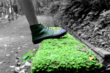 Human Foot And Grass Field Selective Color Footage