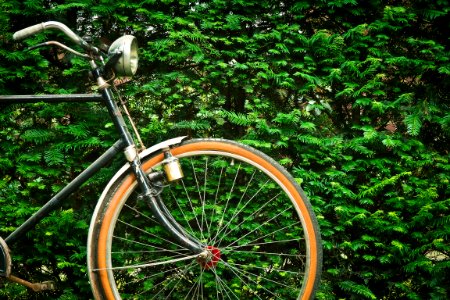 Black Beach Cruiser Bicycle Near Green Hedge During Daytime photo