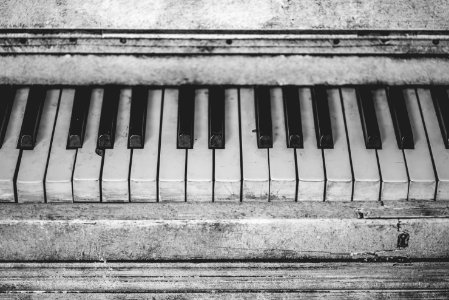 Grayscale Piano Keys photo