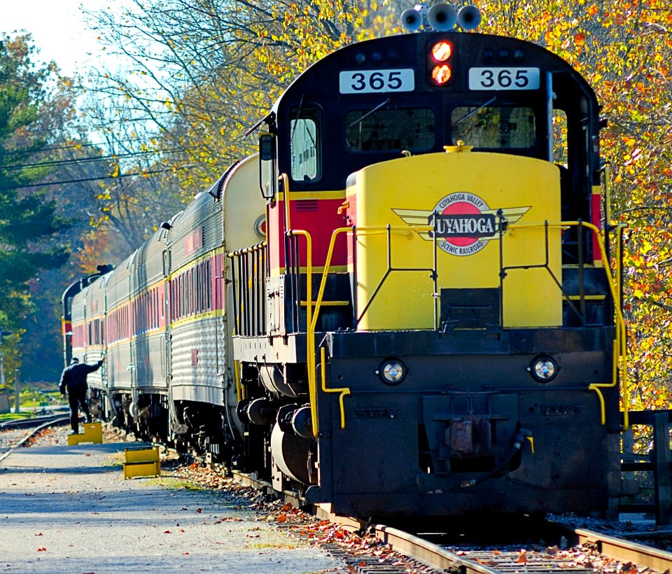 Black And Yellow Train Near Green Trees During Daytime photo