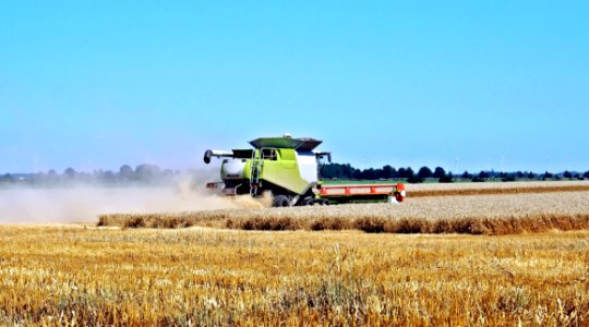 Green Gardening Truck photo