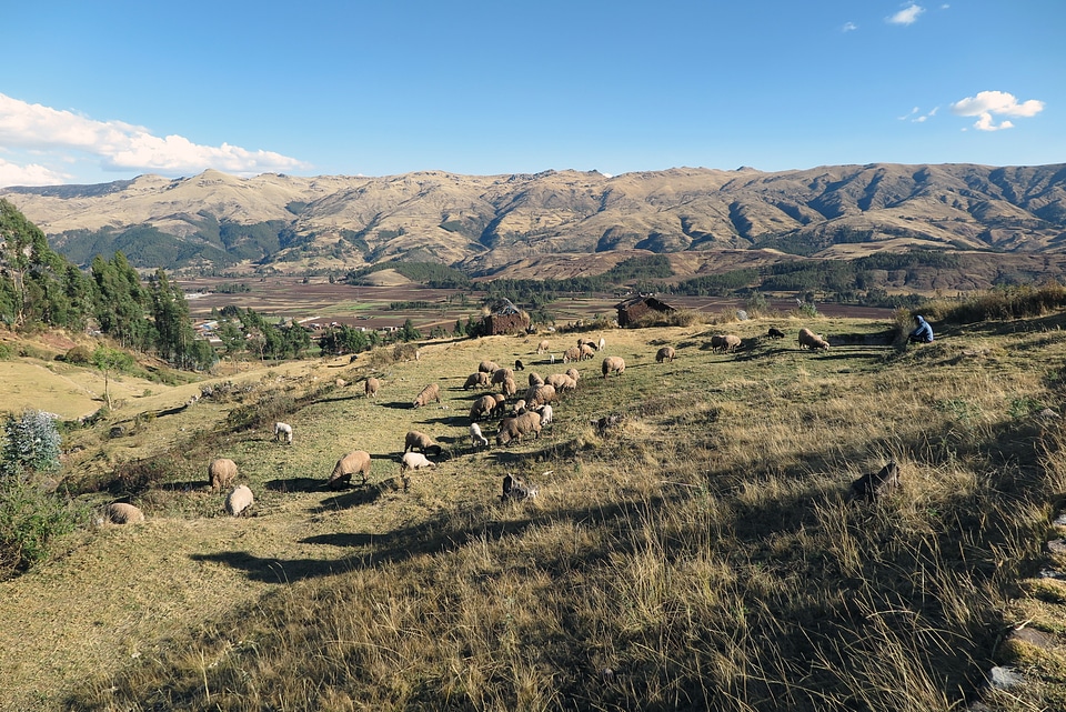 Peru andes mountain