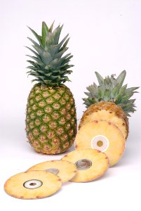 Pineapple And Pineapple Disc