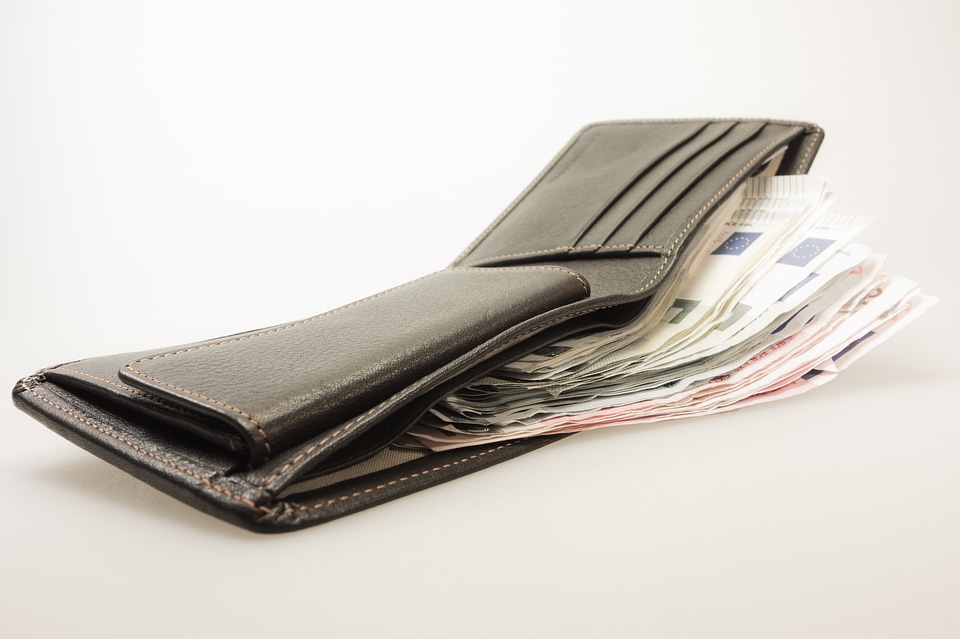 Euro leather wallet