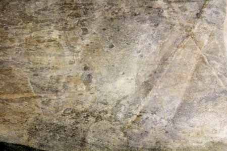 Texture