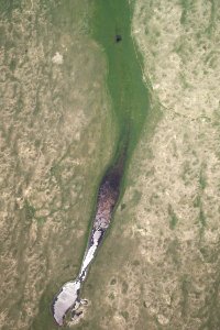 Aerial Photograph Samuel R McKelvie National Forest