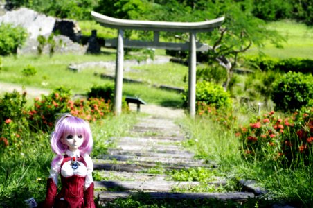 Doll In Garden