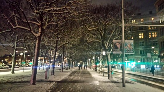 Snowy City Streets At Night photo