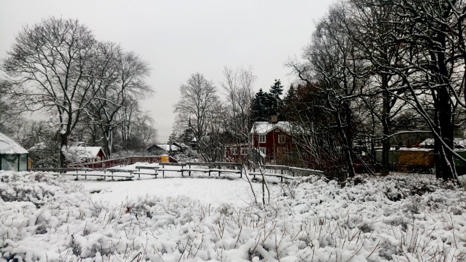 Snow Covered Farm House And Paddock photo