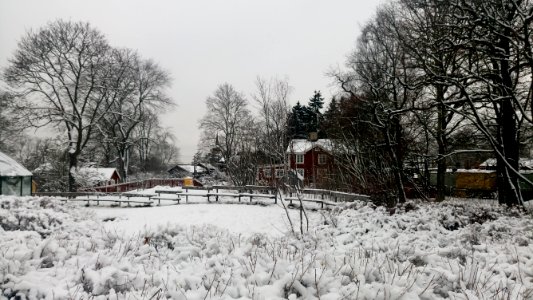 Snow Covered Farm House And Paddock