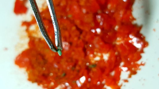 Food Liquid Fluid Recipe