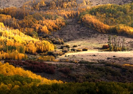 BOULDER MT UT - 2016-09-30 Fall Color -01c