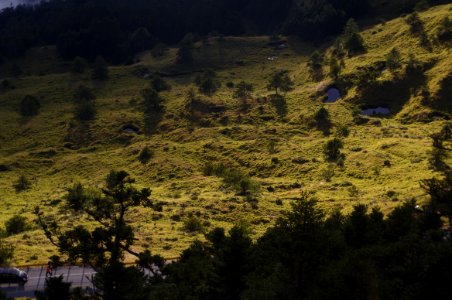 Sunlit Hillside Beside Road