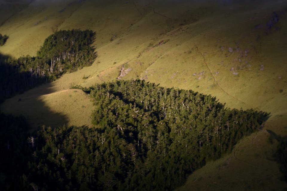The Edge Of The Forest