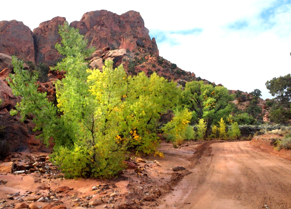 CAPITOL REEF NATIONAL PARK Area GARFIELD CO UTAH - 2016-09-29 - Thru The Reef At East End Burr Trail -02b