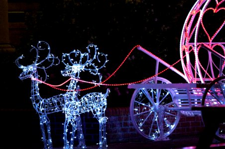 Christmas Light Decorations