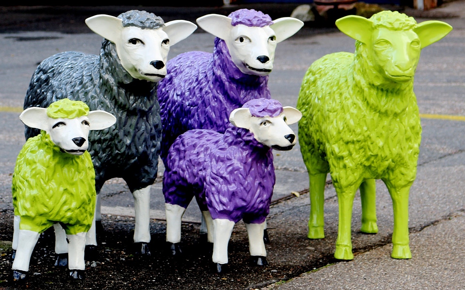 Group flock of sheep idyll