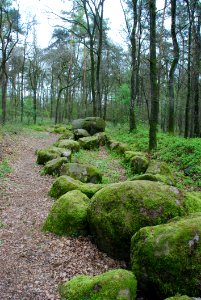 Gross-steingrab Freren