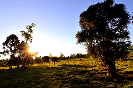 Sky Plant Plant Community Natural Landscape