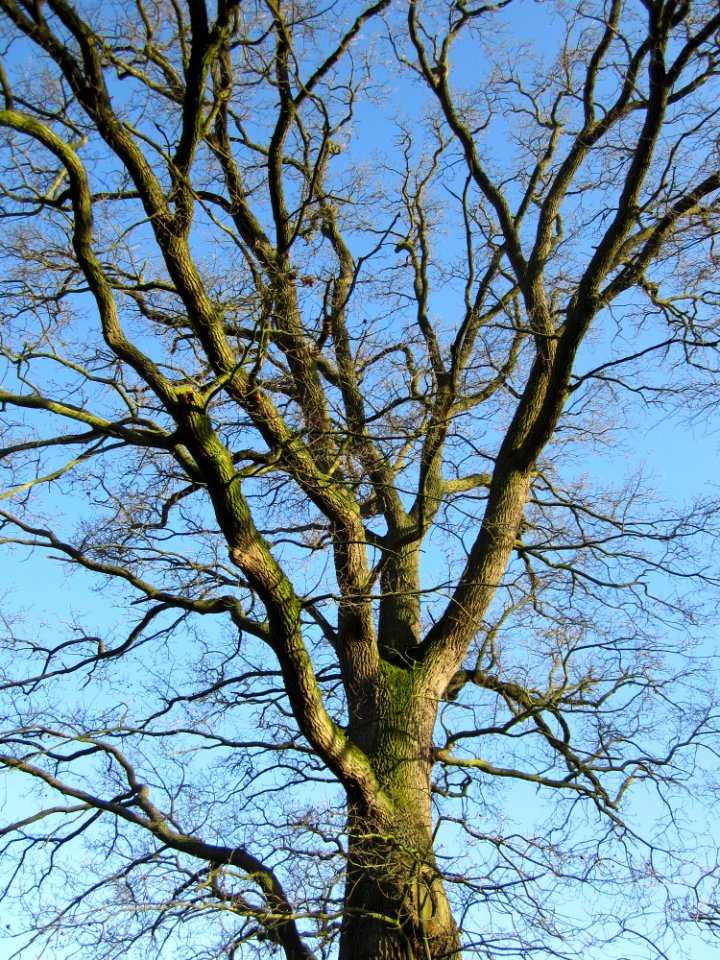 De Lucht Terplaatste