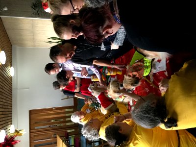 Mayors Charity Christmas Craft Fayre