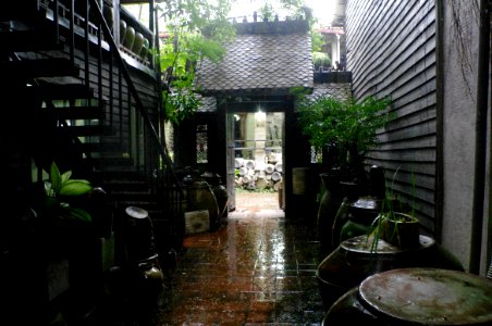 Backyard On A Rainy Day