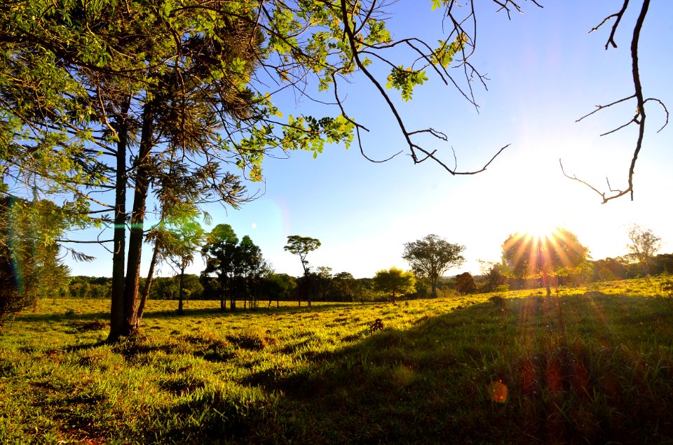 Plant Sky Ecoregion People In Nature