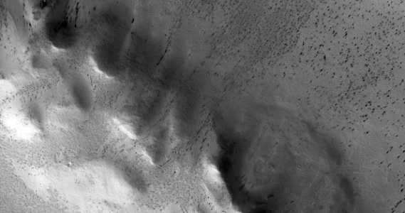 Landscape On Mars photo