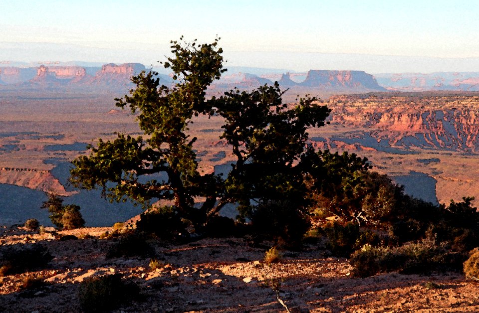 MULEY POINT SAN JUAN CO UTAH - 2016-09-26 - Campsite In Morning -23