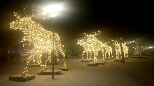 Christmas Decorations