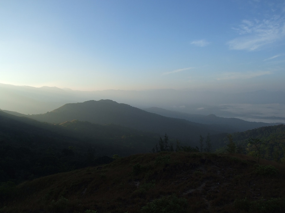 India forests western ghats photo