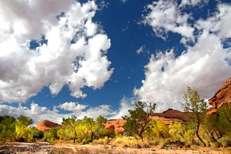 HANKSVILLE AREA GARFIELD CO UTAH - 2016-10-02 - Poison Springs Canyon -06