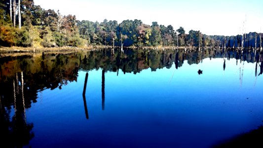 INDIAN RIVER REC AREA NATURE TRAIL(11-01-2016) Indian River Alexander State Forest Evangeline Parish La -06