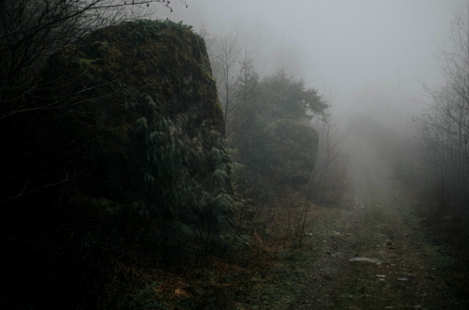 The Dark Noll