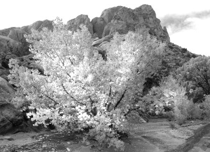 UTAH 2016 Bw (9)