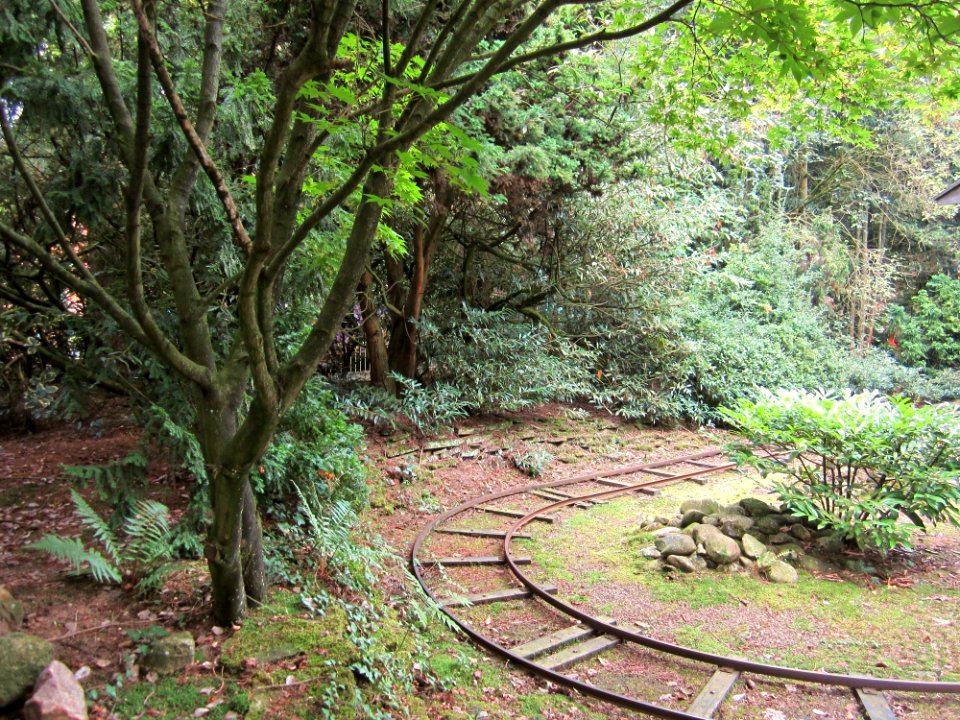 Oude Sporen In Het Bos