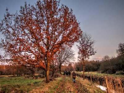 Plant Sky Plant Community Natural Landscape photo