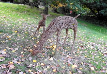 Deer Sculptures Canonteign Falls Nr Exeter