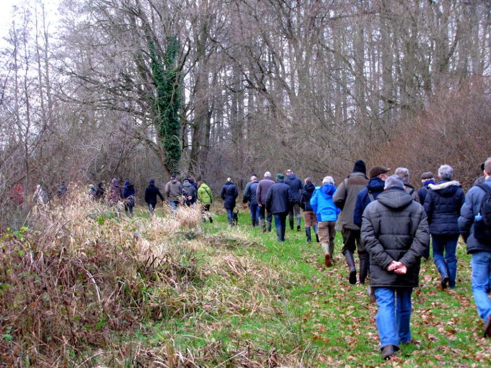 People Walking In Nature
