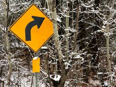 2016366333 Wrong Turn Clyde