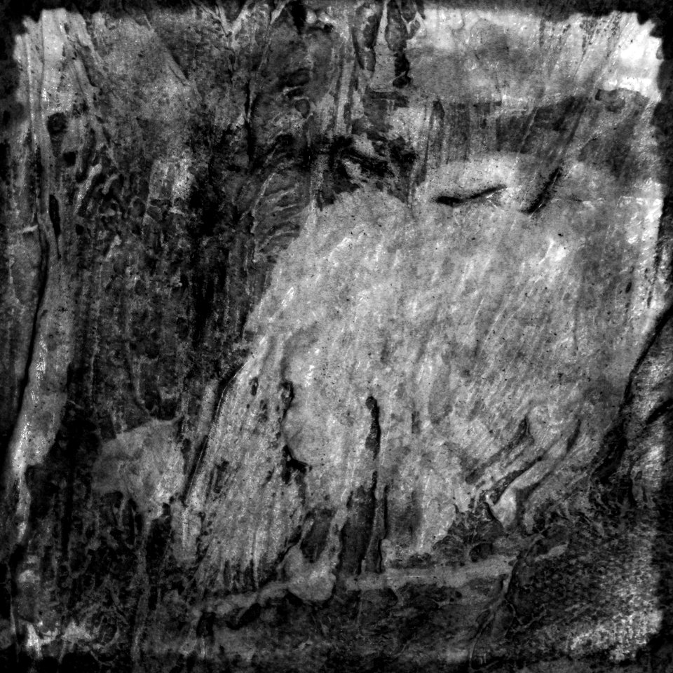 Square Texture