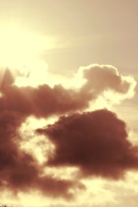 CAMILLE MORENOS - Nuage Tortue