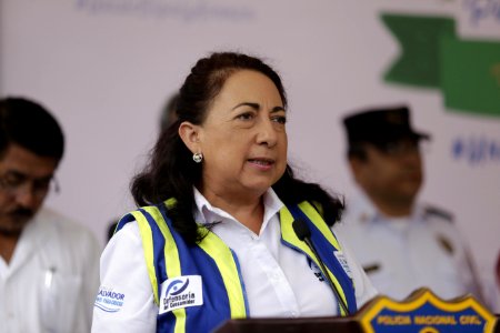 Plan De Trabajo Coordinado Para poca Navideña Y Fin De Año 2016