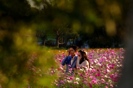 Asian Couple On Flowering Field