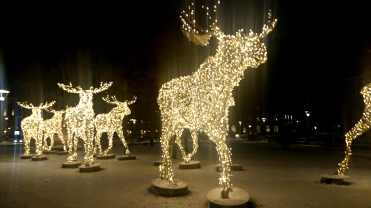 Elks Made Of Lights