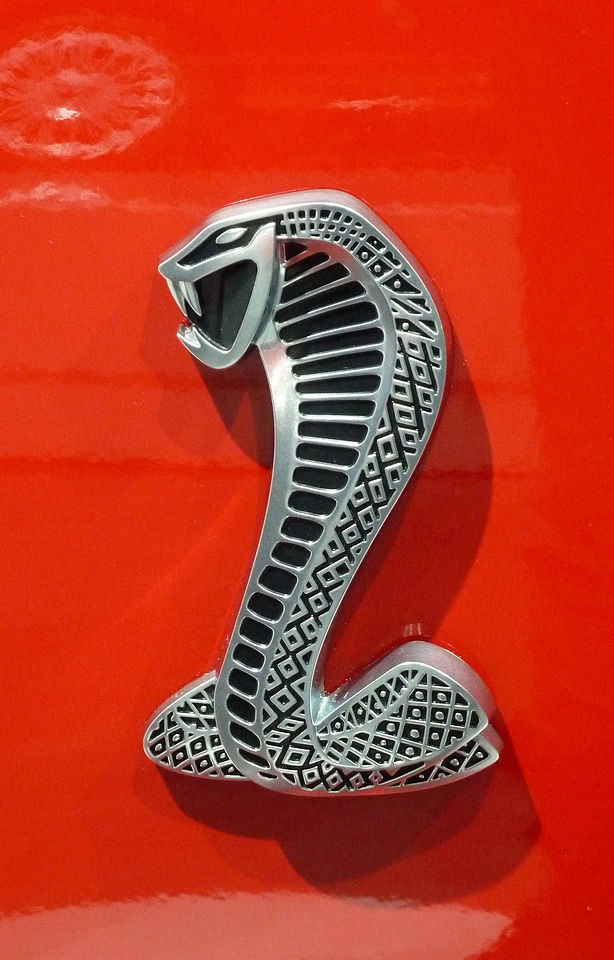 American icon symbol