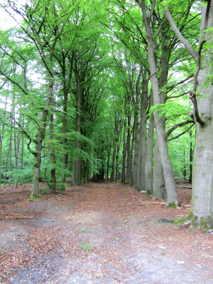 Landgoed Welna