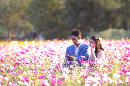 Asian Couple On Meadow