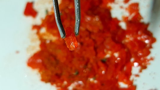 Food Liquid Ingredient Recipe