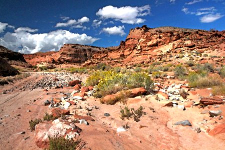 HANKSVILLE AREA GARFIELD CO UTAH - 2016-10-02 - Poison Springs Canyon -02d